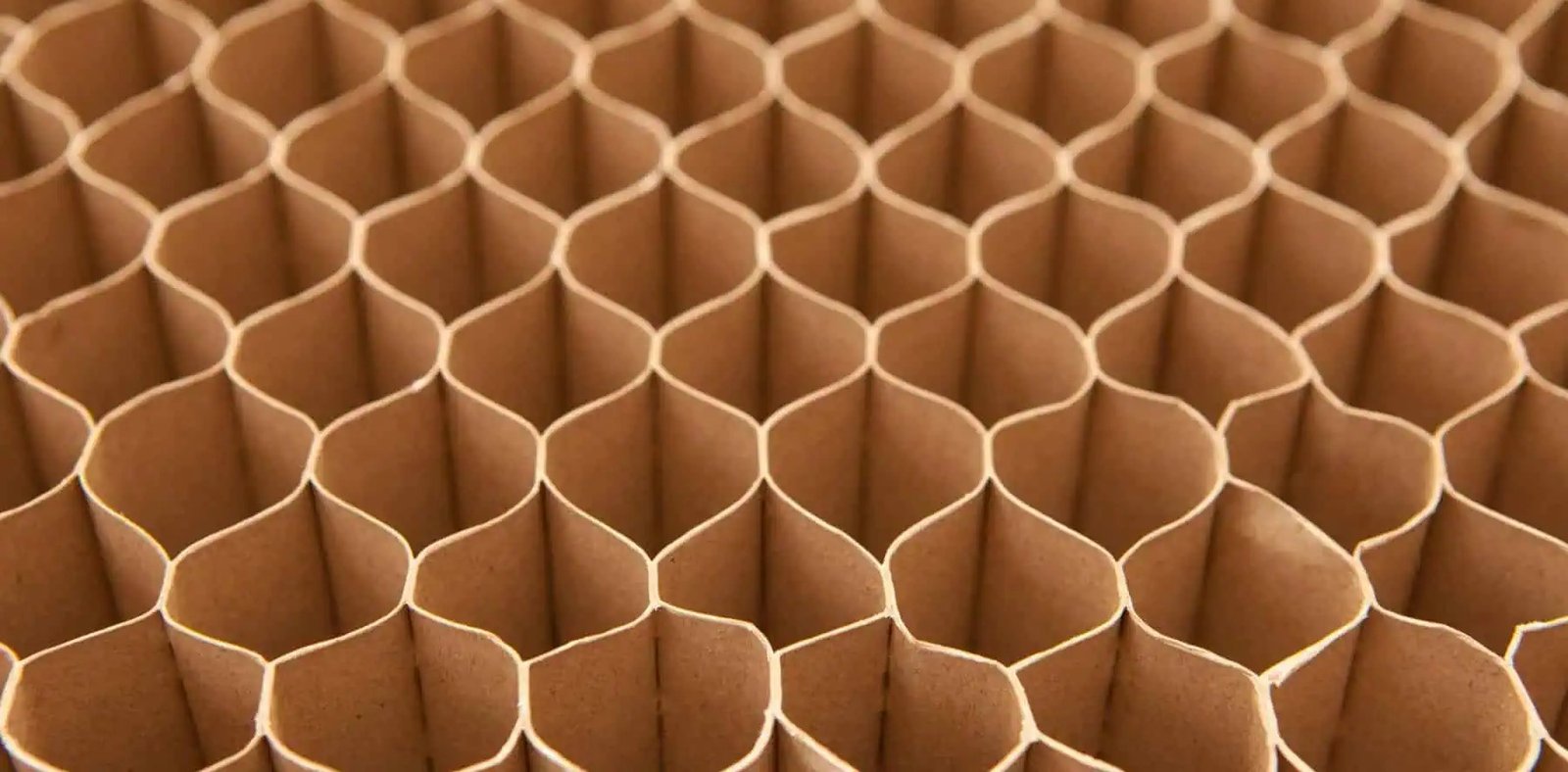 Premium Honeycomb Adhesives